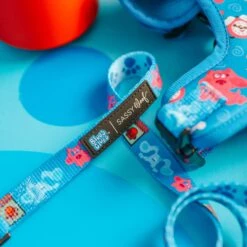 Dog Three Piece Collar Bundle - Blue's Clues™ -Furfinity Cheap Shop Blues Clues ProductPhotos 4 816f3082 0fff 4293 a92d cd710971feca