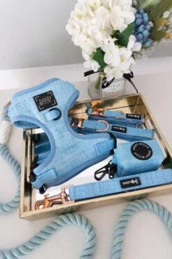 Dog Four Piece Bundle - Blumond -Furfinity Cheap Shop Blumond Bundle Dog Harness Leash Collar 3e2388ac 786b 41be 86d4 6cda285a991f