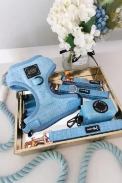 Dog Two Piece Bundle - Blumond -Furfinity Cheap Shop Blumond Bundle Dog Harness Leash Collar 81cf69f3 9340 4528 80d0 3c30e692927b