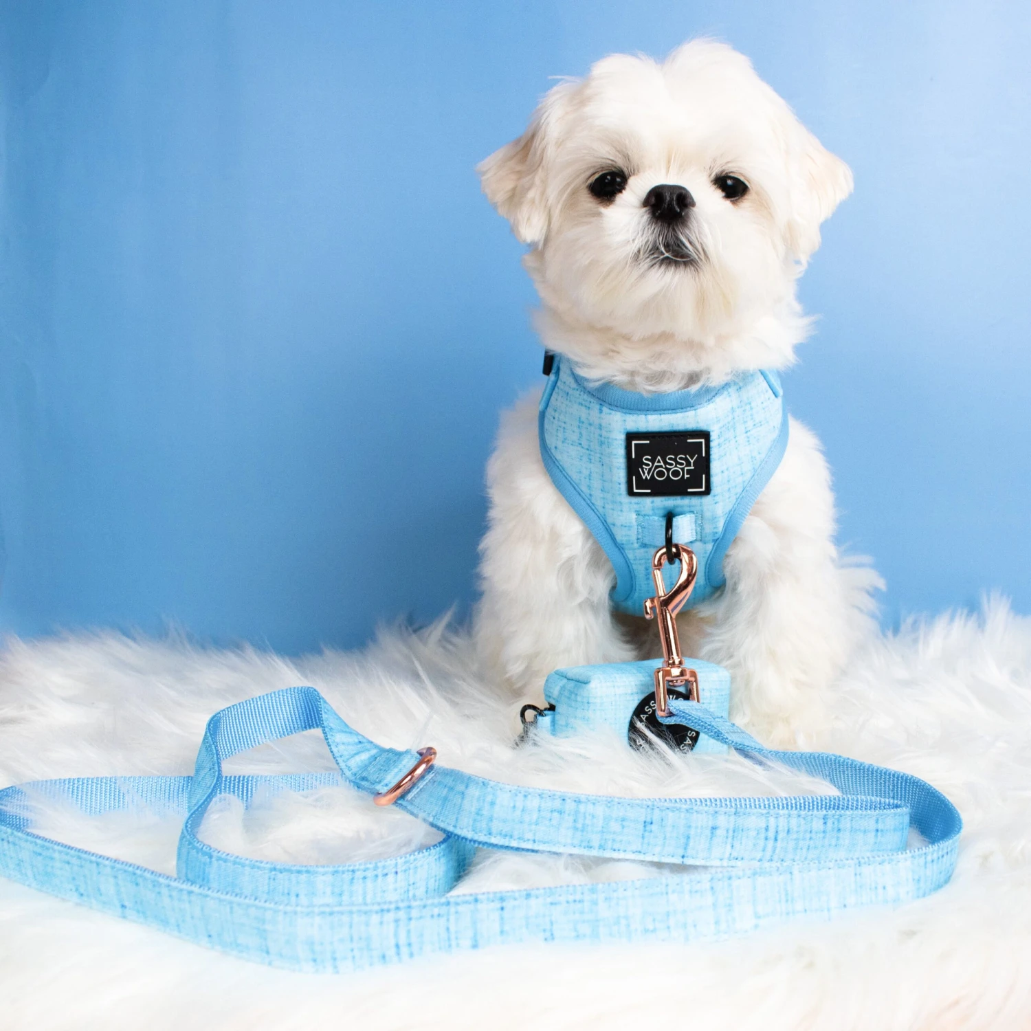 Dog Waste Bag Holder - Blumond 8 Dog Waste Bag Holder - Blumond - Image 6