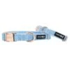 Dog Collar - Blumond -Furfinity Cheap Shop BlumondKohls