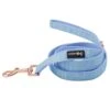 Dog Leash - Blumond -Furfinity Cheap Shop BlumondLeash