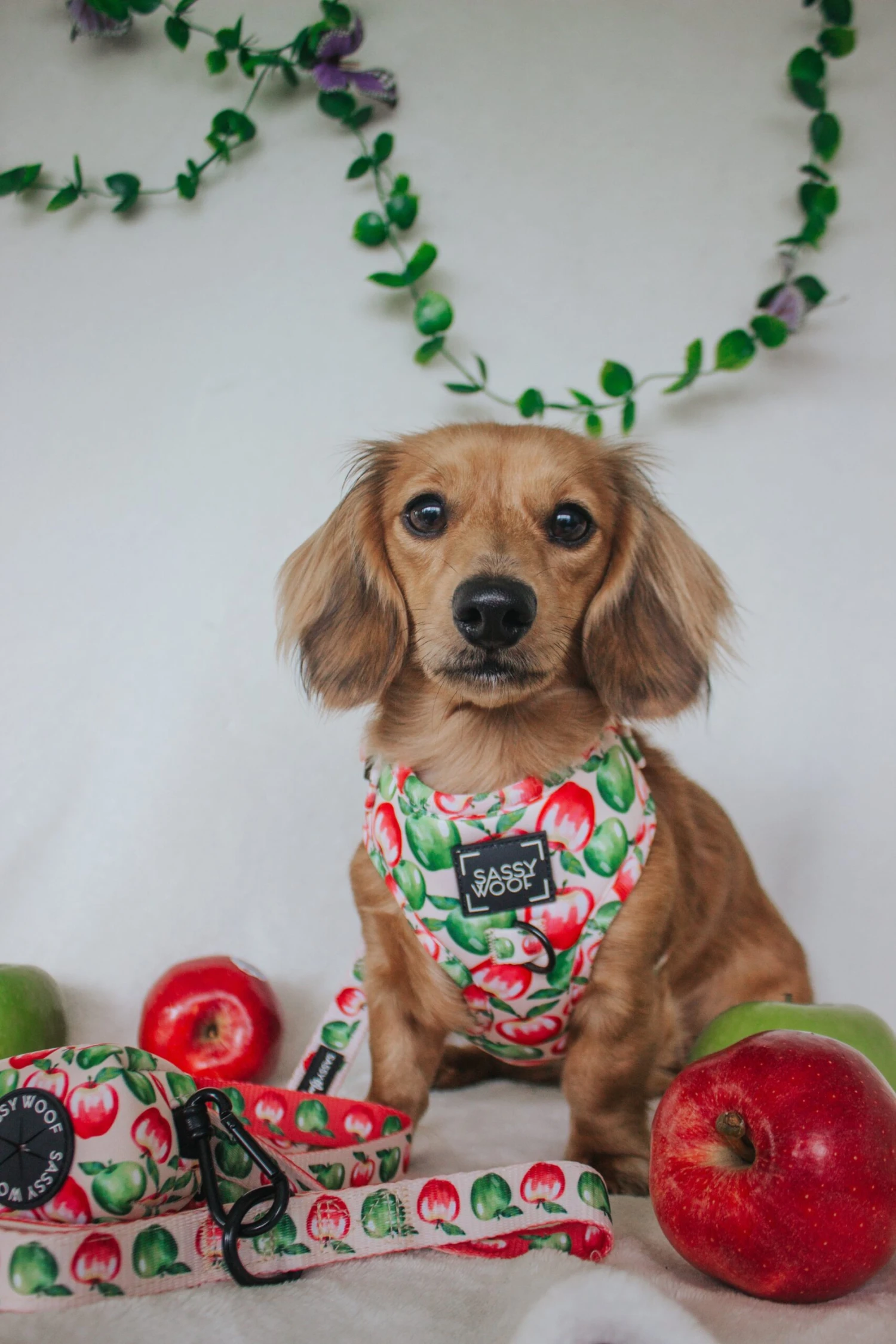 Dog Waste Bag Holder - Apple Of My Eye 7 Dog Waste Bag Holder - Apple Of My Eye - Image 5