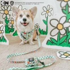 Dog Waste Bag Holder - The Powerpuff Girls™ (Green) 24 Dog Waste Bag Holder - The Powerpuff Girls™ (Green) -Furfinity Cheap Shop CALYPSOTHECORGI PPG 23