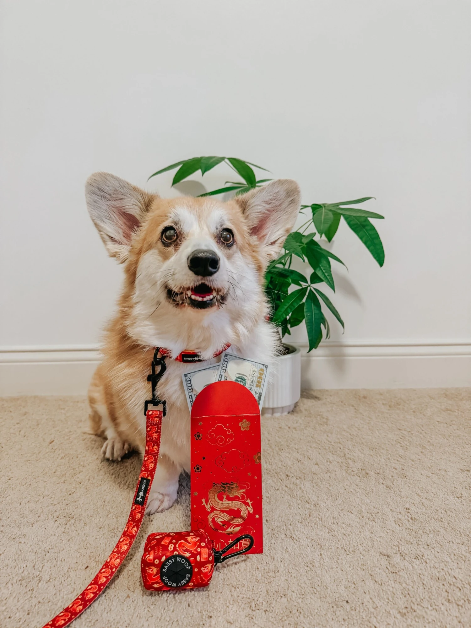 Dog Waste Bag Holder - Lucky Dragon 7 Dog Waste Bag Holder - Lucky Dragon - Image 5