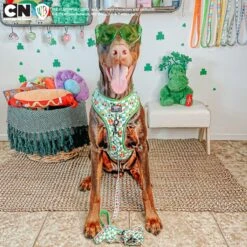 Dog Two Piece Bundle -The Powerpuff Girls™ (Green) 19 Dog Two Piece Bundle -The Powerpuff Girls™ (Green) -Furfinity Cheap Shop CANELOANDFRANN PPG 2 634912d9 df6f 449c bab1 e1fb644a68b8