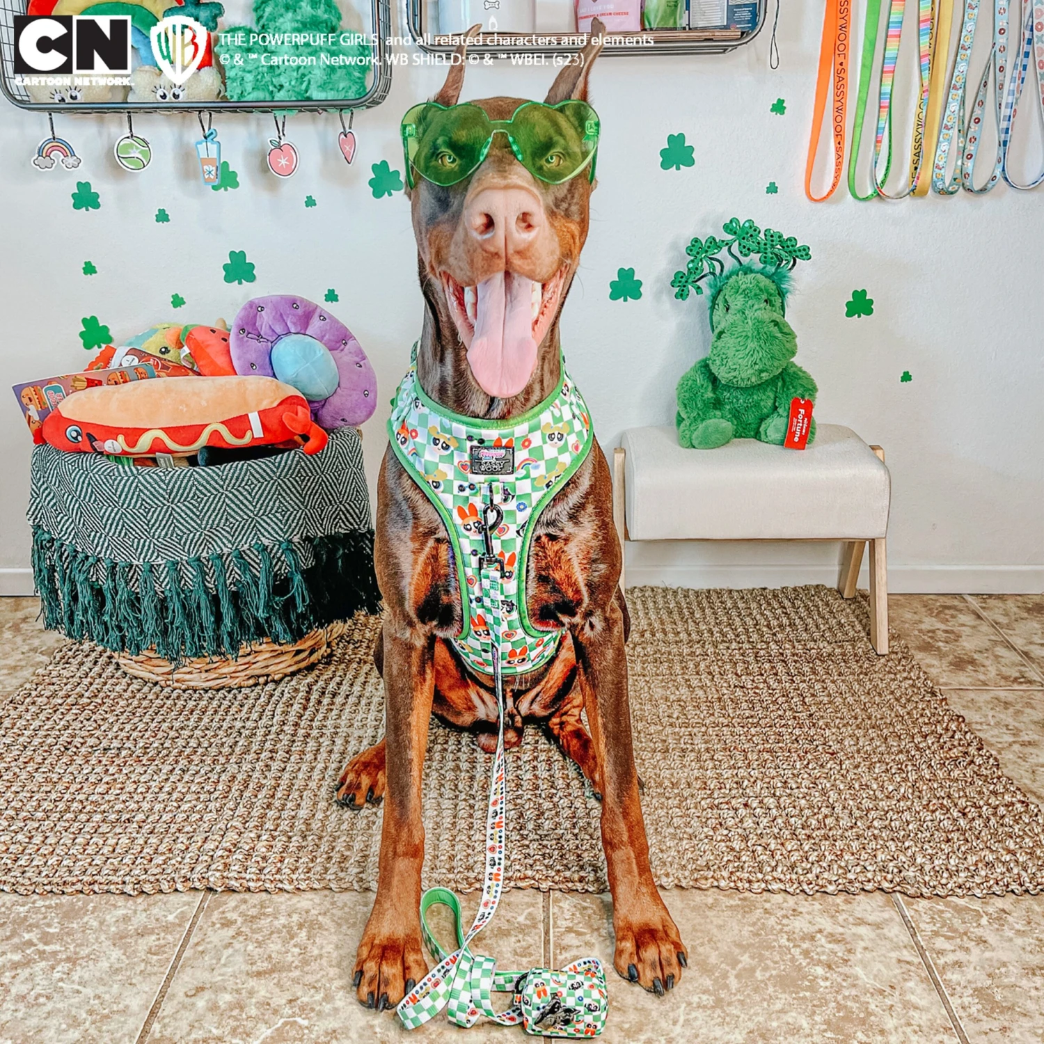 Dog Two Piece Bundle -The Powerpuff Girls™ (Green) 9 Dog Two Piece Bundle -The Powerpuff Girls™ (Green) - Image 7