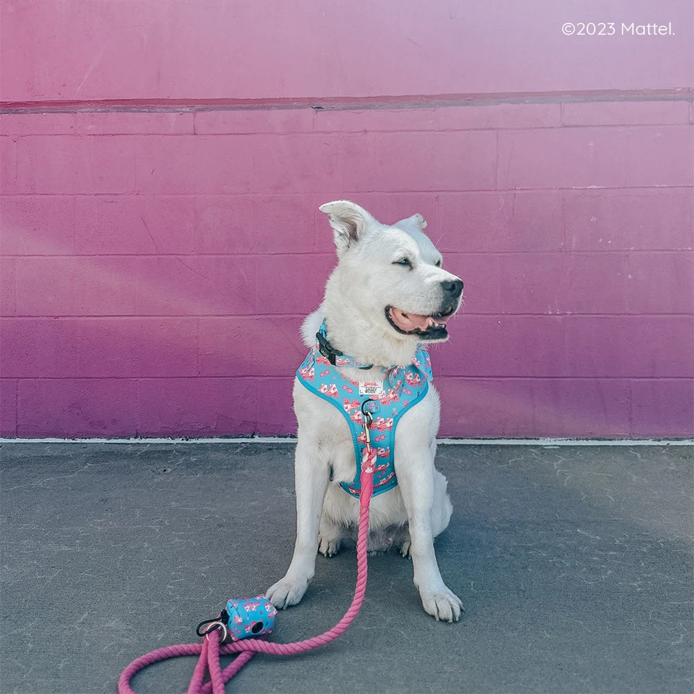 Dog Rope Leash - BARBIE™ 10 Dog Rope Leash - BARBIE™ - Image 8