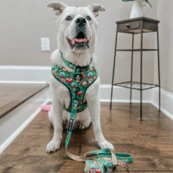 Dog Waste Bag Holder - Elf™ -Furfinity Cheap Shop CASEYTHEPYRMIX 5f021faf c0fa 4e1e 836b e177b1629841