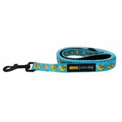 Dog Four Piece Bundle - Nickelodeon CatDog™ -Furfinity Cheap Shop CAT DOG LEASH 2 f2c4c1e4 10fe 40b3 8eaa d0d092704aa3