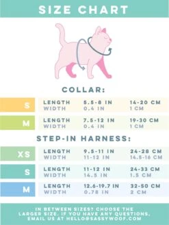 Cat Bundle - Dino Darling -Furfinity Cheap Shop CATBUNDLE SIZECHART 01 8324c266 33af 4500 ba19 0a05b8c7f4ef