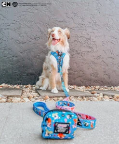 Dog Two Piece Bundle -The Powerpuff Girls™ (Blue) -Furfinity Cheap Shop CAVAKISSES 3 1