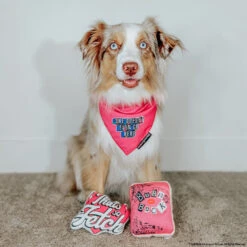 Dog Toy - Mean Girls™ 12 Dog Toy - Mean Girls™ -Furfinity Cheap Shop CAVAKISSES 3 605d2681 ff6c 48a3 80e4 9e7bed51299a