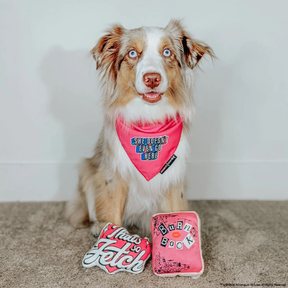 Dog Toy - Mean Girls™ 6 Dog Toy - Mean Girls™ - Image 4