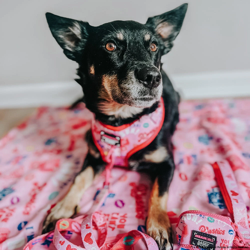 Dog Waste Bag Holder - Mean Girls™ 6 Dog Waste Bag Holder - Mean Girls™ - Image 4