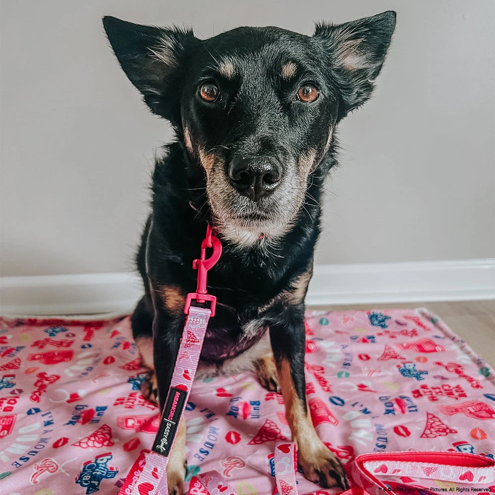 Dog Three Piece Bundle - Mean Girls™ 11 Dog Three Piece Bundle - Mean Girls™ - Image 9