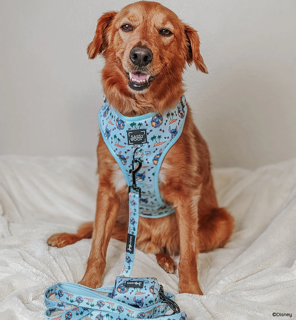 Dog Four Piece Bundle - Disney's Stitch 16 Dog Four Piece Bundle - Disney's Stitch - Image 14