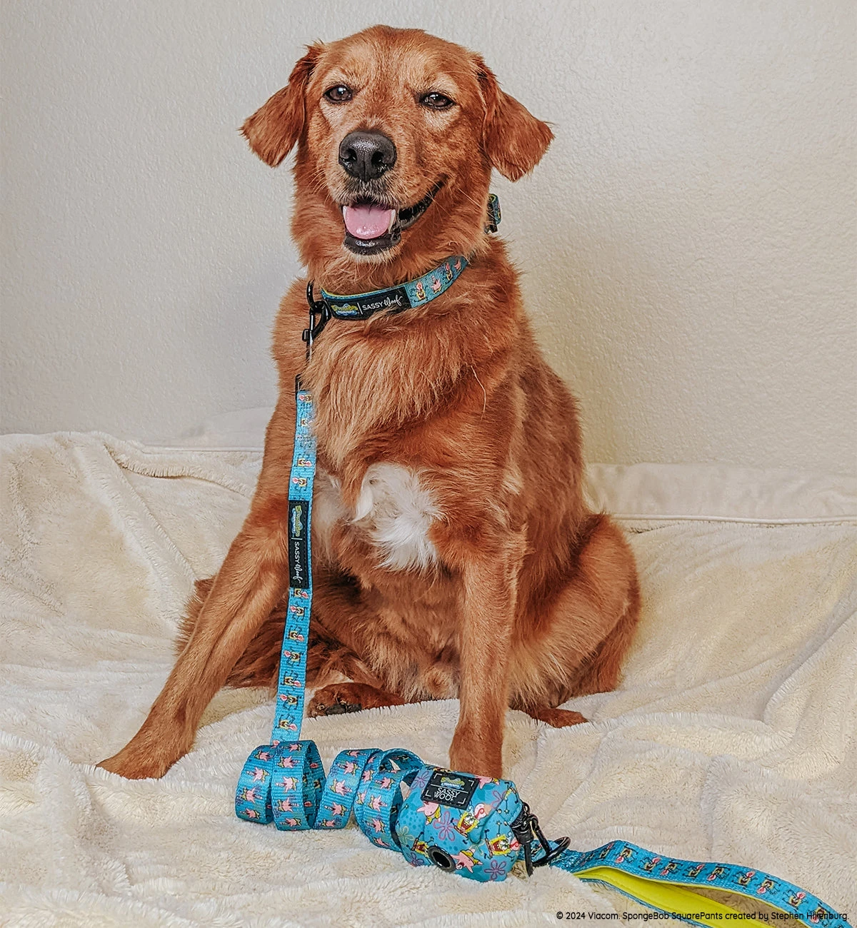 Collar Three Piece Bundle - SpongeBob SquarePants™ Jelly Fishin' 10 Collar Three Piece Bundle - SpongeBob SquarePants™ Jelly Fishin' - Image 8