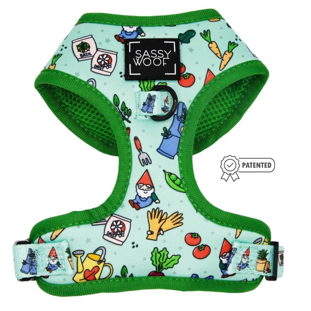 Dog Two Piece Bundle - Chillin With My Gnomies 4 Dog Two Piece Bundle - Chillin With My Gnomies - Image 2