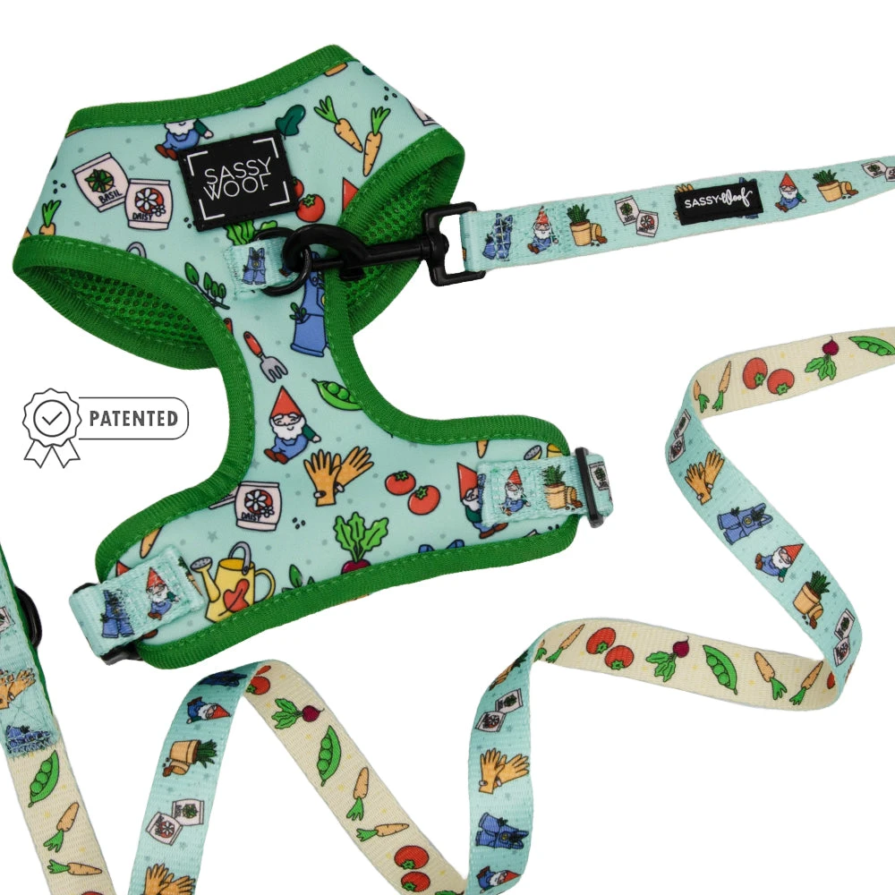 Dog Two Piece Bundle - Chillin With My Gnomies 3 Dog Two Piece Bundle - Chillin With My Gnomies