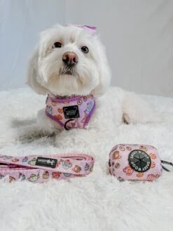 Dog Waste Bag Holder - Tea Pawty -Furfinity Cheap Shop CHLOE THE MALTIPOO22 5 bd2370a6 b1a6 479f a1da 91f1076cca82