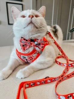 Cat Leash - Hello Kitty® Red Classic -Furfinity Cheap Shop CHUCKANDSOPHIA 1 46bee3c4 849e 47d0 9bb2 b2ad911e859b