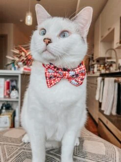 Cat Collar - Hello Kitty® Red Classic -Furfinity Cheap Shop CHUCKANDSOPHIA 3 cf8ac0d6 3206 4fb9 8e72 ae7d16234fcf