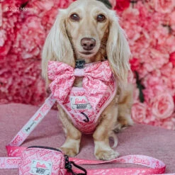 Dog Waste Bag Holder - BARBIE™ Malibu 22 Dog Waste Bag Holder - BARBIE™ Malibu -Furfinity Cheap Shop CLEMENTINETHEDOX 3 5a1169a1 3bd1 4973 a183 8fe7a032baa3