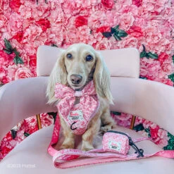 Dog Waste Bag Holder - BARBIE™ Malibu 23 Dog Waste Bag Holder - BARBIE™ Malibu -Furfinity Cheap Shop CLEMENTINETHEDOX 4