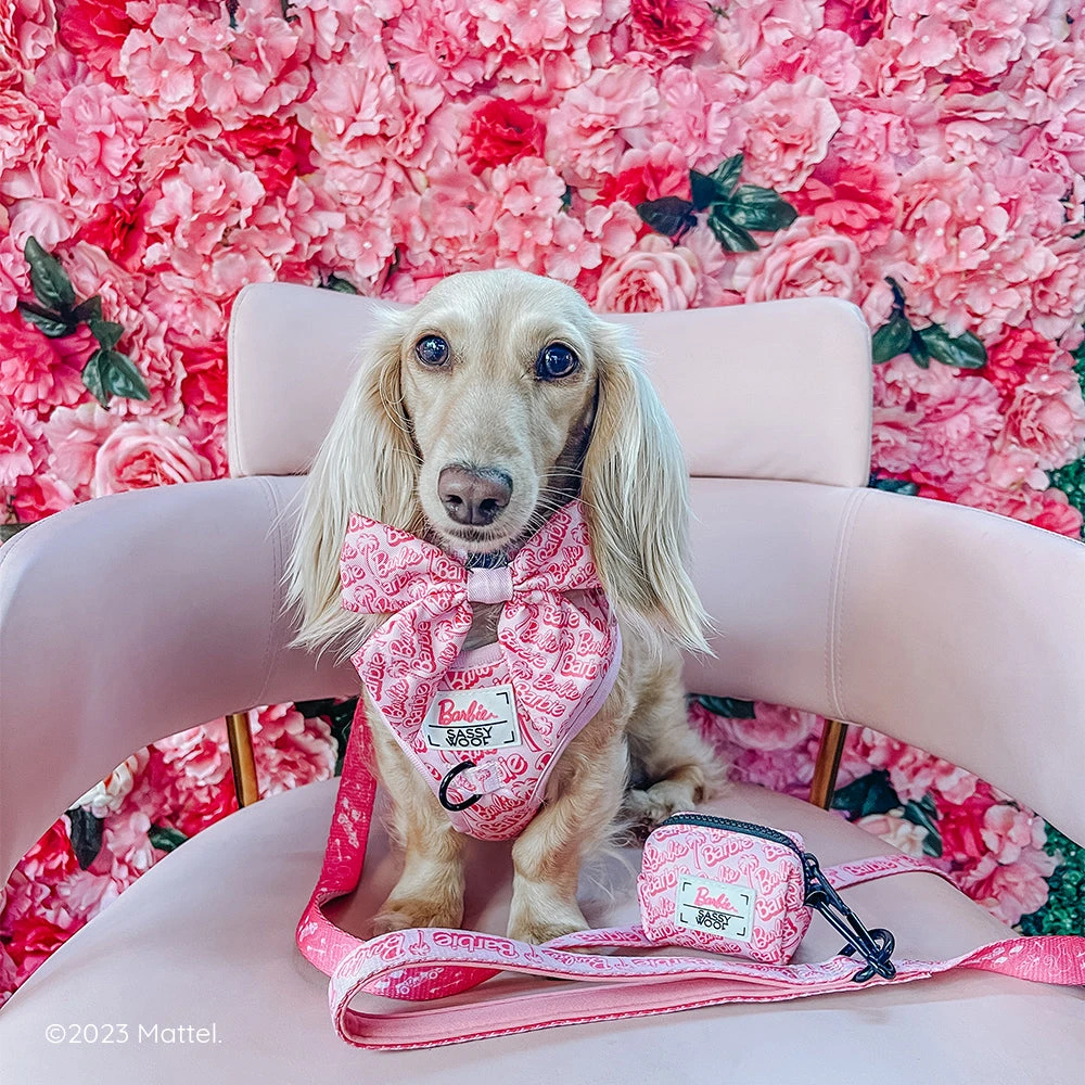 Dog Waste Bag Holder - BARBIE™ Malibu 13 Dog Waste Bag Holder - BARBIE™ Malibu - Image 11