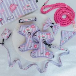 Dog Four Piece Bundle - BARBIE™ Closet Goals 30 Dog Four Piece Bundle - BARBIE™ Closet Goals -Furfinity Cheap Shop CLOSET GOALS BARBIE PROD PHOTOS