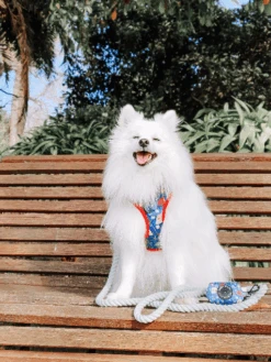 Dog Rope Leash - Serenity -Furfinity Cheap Shop COCO