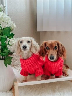 Dog Cable Knit Sweater - Hot Pink -Furfinity Cheap Shop COCO AND AVI 3