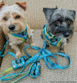 Dog Waste Bag Holder - SpongeBob SquarePants™ Jelly Fishin' 13 Dog Waste Bag Holder - SpongeBob SquarePants™ Jelly Fishin' -Furfinity Cheap Shop CRAZYRESCUEBOYS 1e9b364f 9b93 4de6 933a 09520a1f1e89