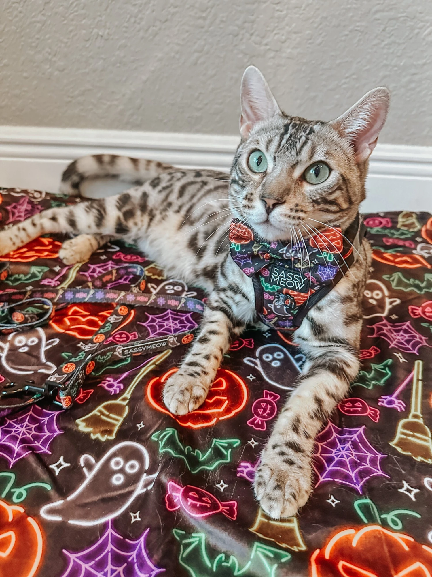 Cat Step-In Harness - Neon Frights 9 Cat Step-In Harness - Neon Frights - Image 7