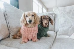 Dog Cable Knit Sweater - Pink -Furfinity Cheap Shop Cable Knit 2 1