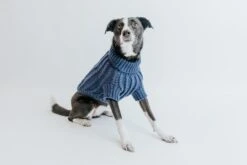 Dog Cable Knit Sweater - Navy -Furfinity Cheap Shop Cable Knit Fall Sweaters Dog 11 8adc386e dbdf 4894 9ebe 905344a26d68