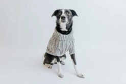 Dog Cable Knit Sweater - Gray -Furfinity Cheap Shop Cable Knit Fall Sweaters Dog 12