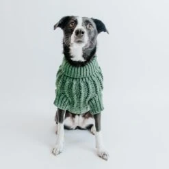 Dog Cable Knit Sweater - Dark Green -Furfinity Cheap Shop Cable Knit Fall Sweaters Dog 13
