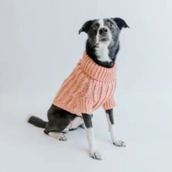 Dog Cable Knit Sweater - Pink -Furfinity Cheap Shop Cable Knit Fall Sweaters Dog 16