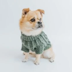 Dog Cable Knit Sweater - Dark Green -Furfinity Cheap Shop Cable Knit Fall Sweaters Dog 6