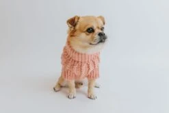 Dog Cable Knit Sweater - Pink -Furfinity Cheap Shop Cable Knit Fall Sweaters Dog 9
