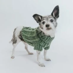 Dog Cable Knit Sweater - Dark Green -Furfinity Cheap Shop Cable Knit Sweater Small Dog Fall 13 1