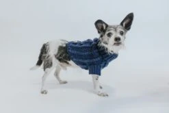 Dog Cable Knit Sweater - Navy -Furfinity Cheap Shop Cable Knit Sweater Small Dog Fall 15