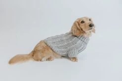 Dog Cable Knit Sweater - Gray -Furfinity Cheap Shop Cable Knit Sweater Small Dog Fall 2
