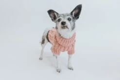 Dog Cable Knit Sweater - Pink -Furfinity Cheap Shop Cable Knit Sweater Small Dog Fall 22