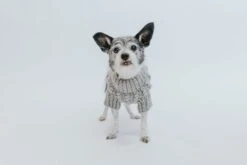 Dog Cable Knit Sweater - Gray -Furfinity Cheap Shop Cable Knit Sweater Small Dog Fall 25