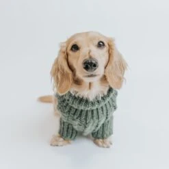 Dog Cable Knit Sweater - Dark Green -Furfinity Cheap Shop Cable Knit Sweater Small Dog Fall 8 1