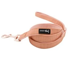 Dog Two Piece Bundle - Apple Cider -Furfinity Cheap Shop CiderLeash ad0b3a10 4bc0 4a10 a1b8 0833d04c2812