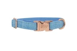 Collar Three Piece Bundle - Blumond 15 Collar Three Piece Bundle - Blumond -Furfinity Cheap Shop Collar Blumond